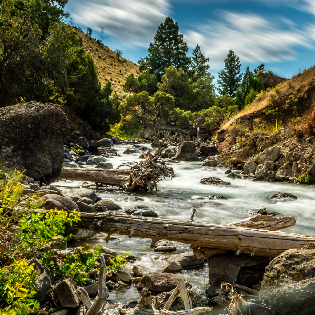 Firehole River