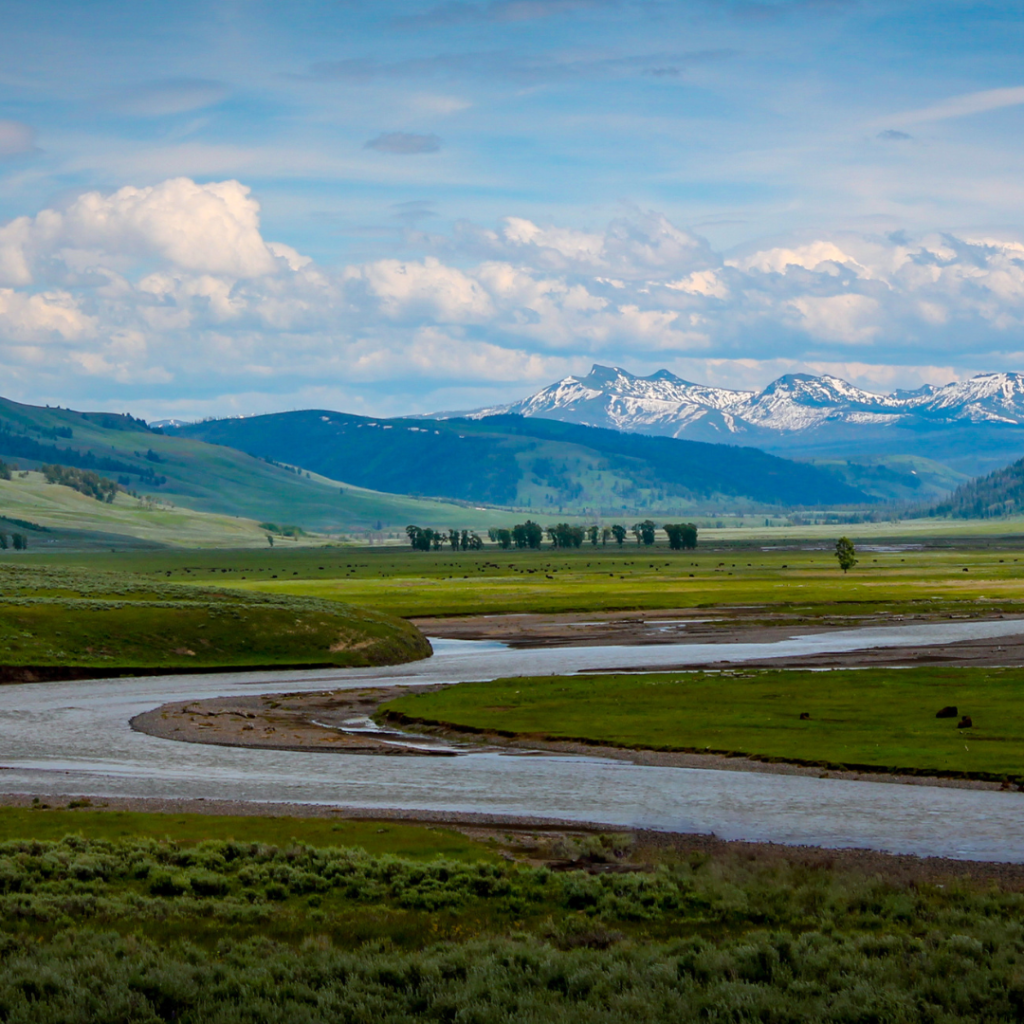 Lamar Valley