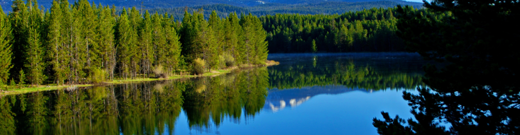Island Park Reservoir