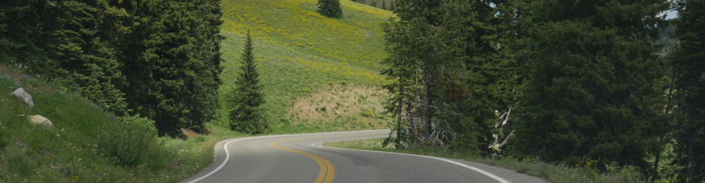 Scenic Drive Near Island Park